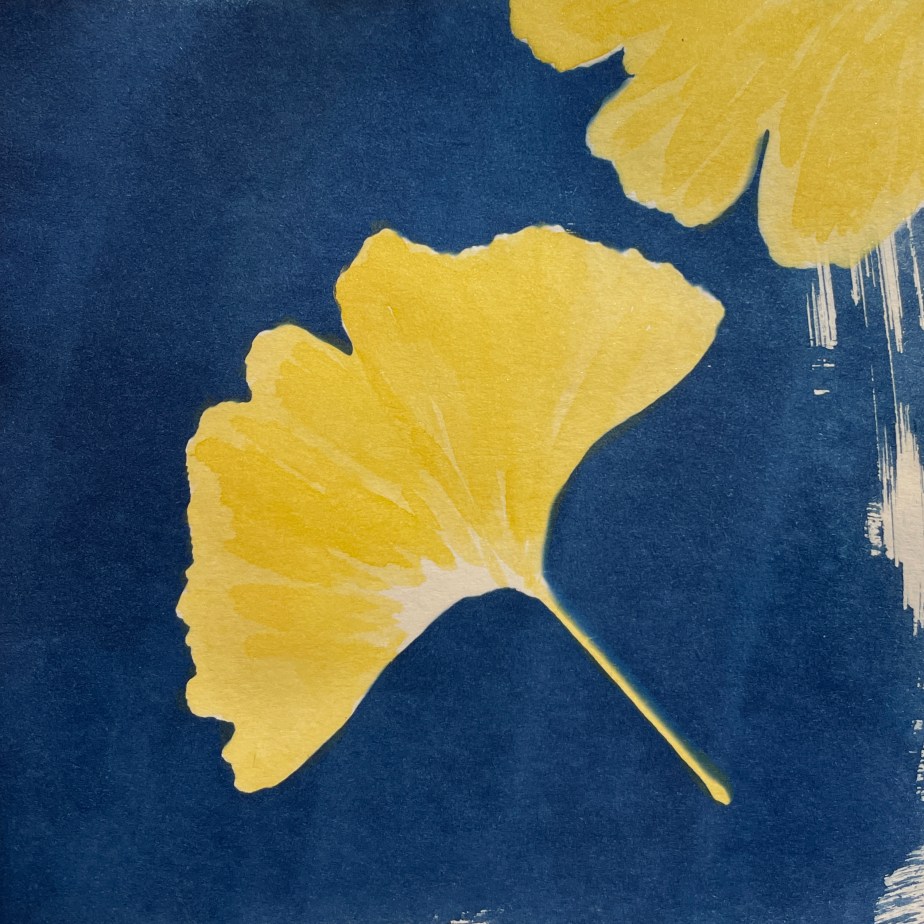 Following my bliss…OR Finding the courage to identify myself as an&nbsp;artist!