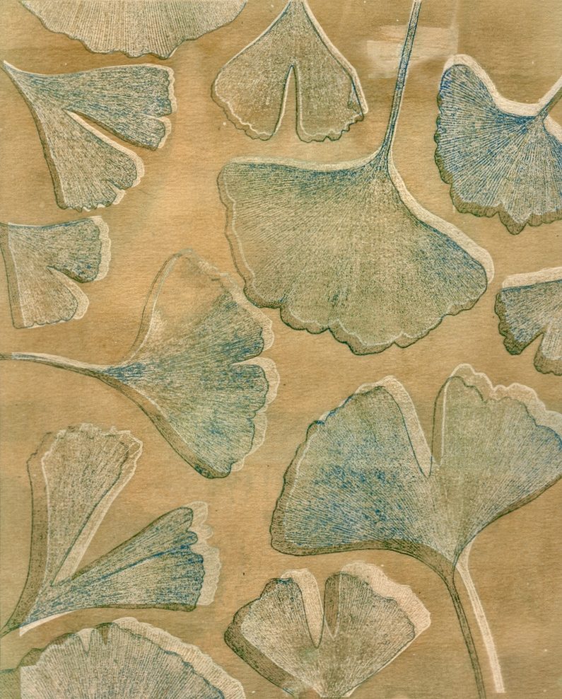 jennifer ablard photography